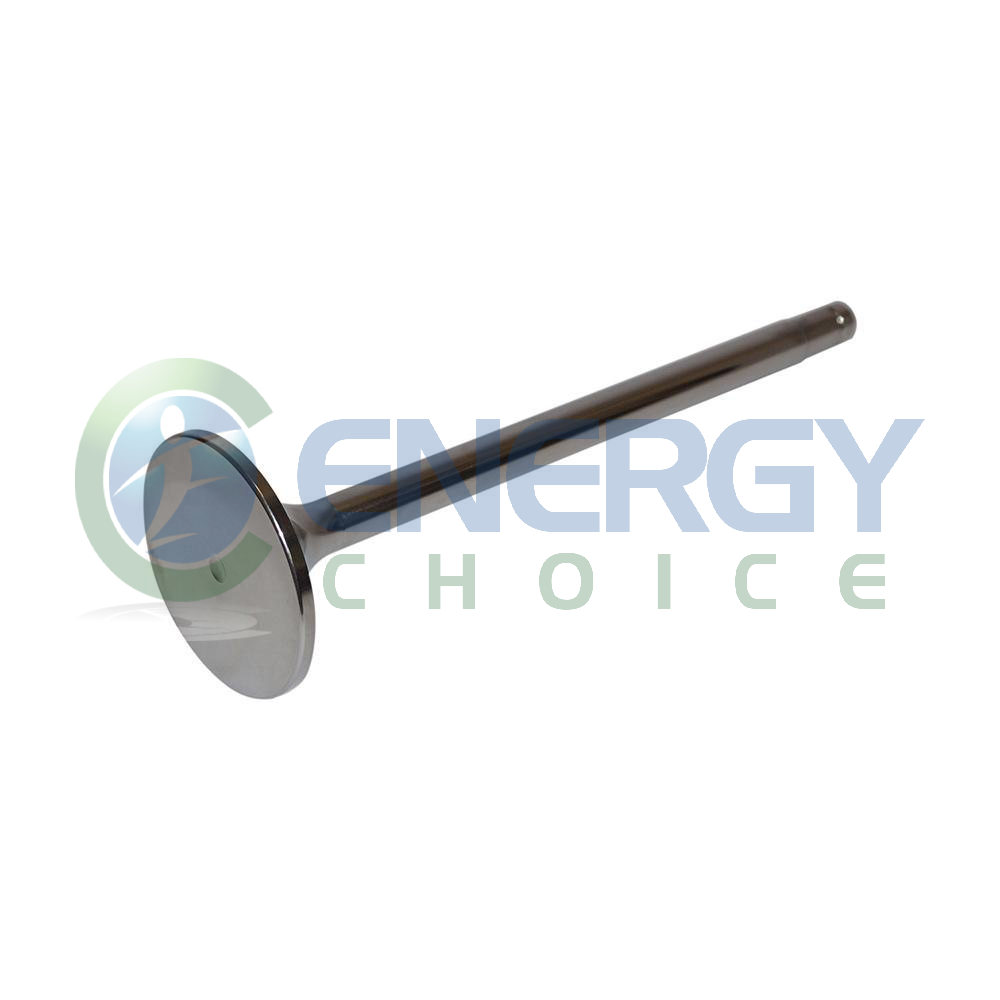 Intake Valve, Jenbacher, 334781